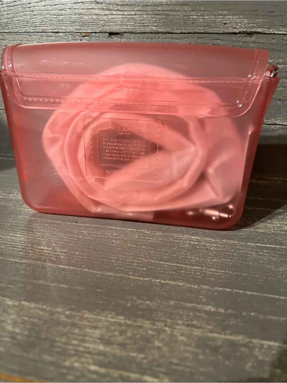 Coach Pink Transparent Jelly Crossbody